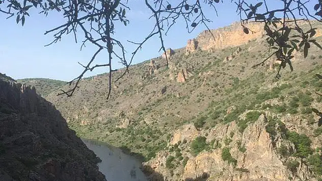 DÜLÜK TABİAT PARKI