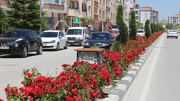 Ereğli Belediyesi bahar hazırlığına devam