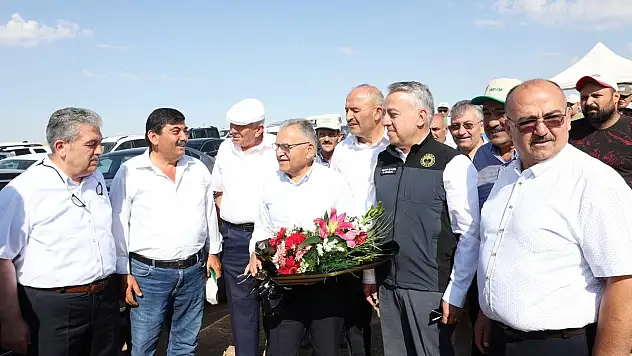 FELAHİYE DE NOHUT HASADI