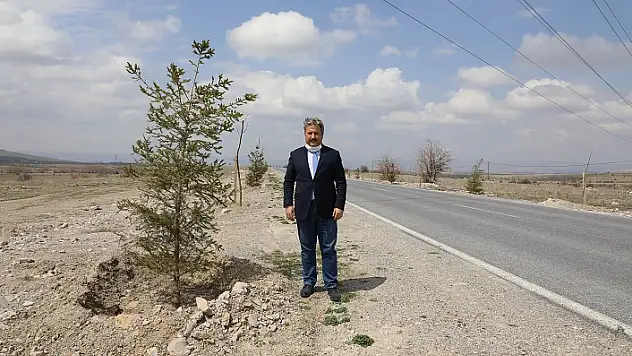 GÜZELKÖY VE GÜRPINAR YOLU YENİ AĞAÇLARLA ŞENLENECEK
