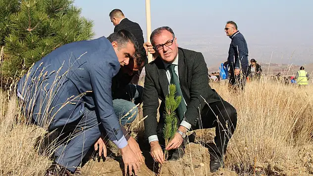 Hacılar'da Yarının Nefesi İçin 2 Bin Fidan Dikildi