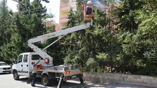 HALİLİYE BELEDİYESİNDEN BUDAMA ÇALIŞMALARI