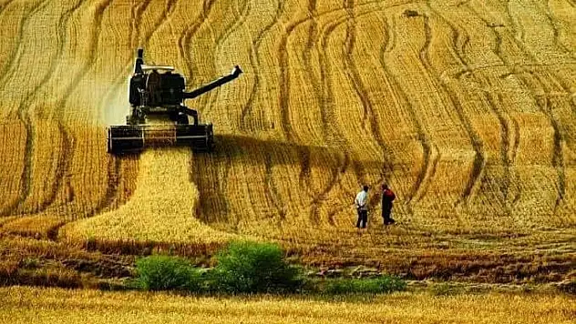 Haşereyle Mücadele Tüm HızıylaDevam Ediyor