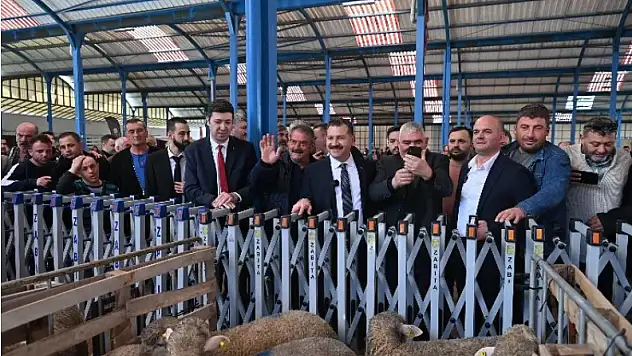 Hayvancılığa büyük destek