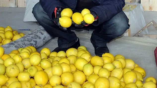 Haziran Ayında Zam Şampiyonu Yüzde 26 Fiyat Artışı İle Limon Oldu!