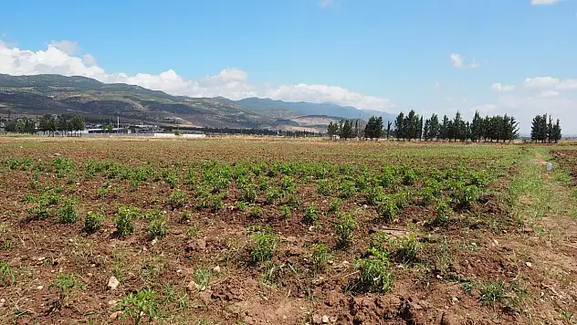 HBB TARIMSAL ÜRETİMİ ÖNEMSİYOR