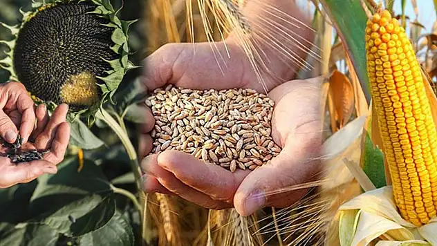 Hububat, Baklagil ve Dane Mısır destek ödemeleri 15 Şubat'ta