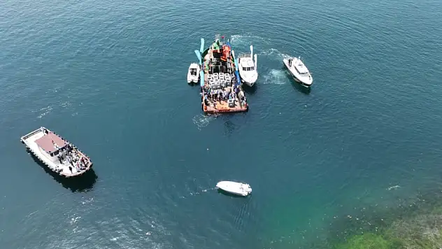 İzmit Körfezi'ne 6 bin balık daha salınacak