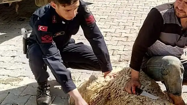 Jandarma için kurban kesildi