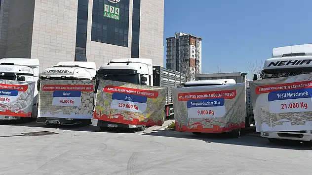 Jeotermal Kaynaklı Tarıma Dayalı İhtisas Sera Organize Sanayi Bölgesi