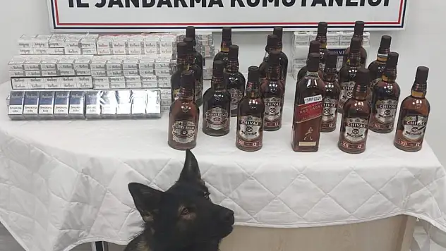 Kaçakçılık operasyonunda 1 gözaltı
