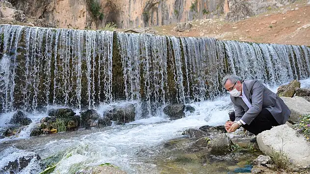 Kahramanmaraş cevizi