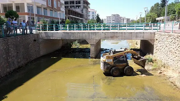 Kahramanmaraş da vektör mücadelesi
