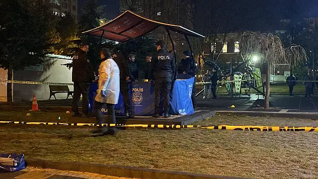 Kamelyada silahlı saldırıya uğrayan 17 yaşındaki Ş.S yaşamını yitirdi