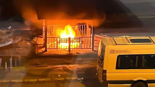 Kamelyayı yakan 2 kişi yakalandı