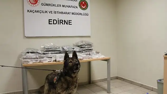 Kapıkule'de 33 kilogram uyuşturucu yakalandı