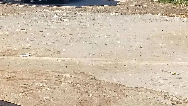 Kardeşlerin kanlı kavgası