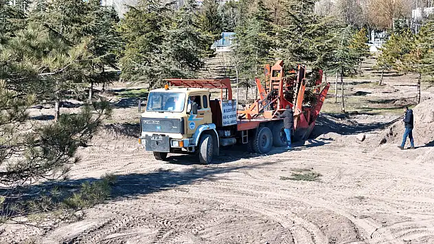 Kartal Kavşağı İçin Ağaçlar Taşınıyor
