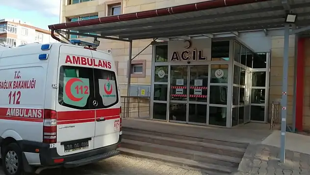 Kavak ağacı ölüm getirdi