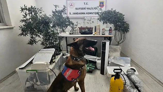 Kayseri'de yasaklı madde operasyonu