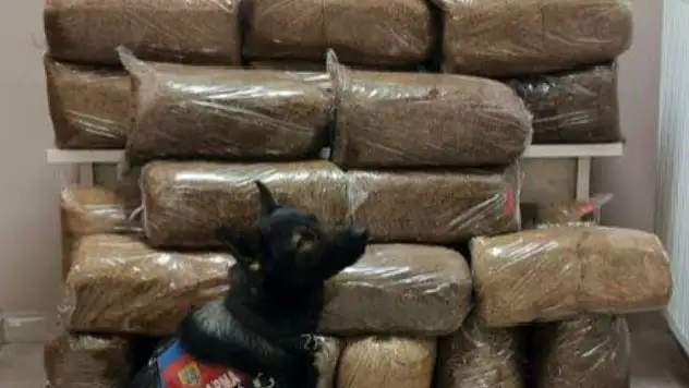 Kayseri'de 228 kg bandrolsüz tütün ele geçirildi