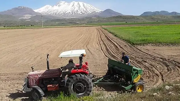 Kayseri de çerezlik kabak çekirdeği ekimi