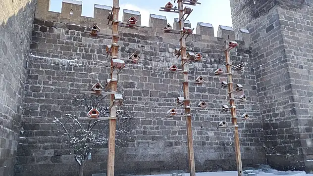 Kayseri'de güvercinler, dondurucu soğukta ahşap yuvalar ile korunuyor