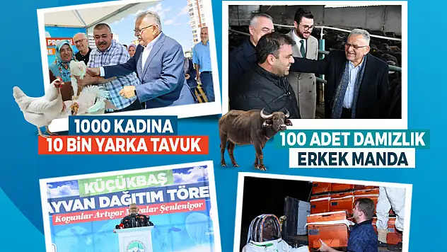 Kayseri'de Hayvancılıkta Büyük Yükseliş