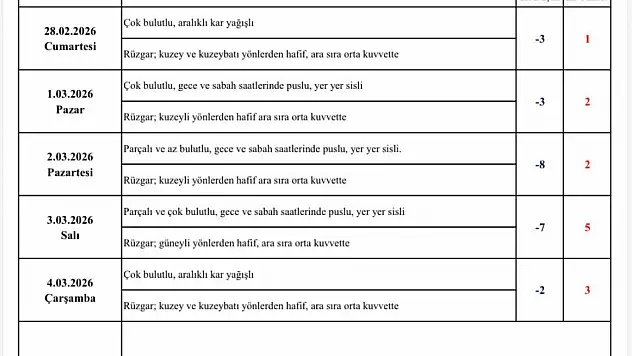 Kayseri'de kar yağışı ve don uyarısı