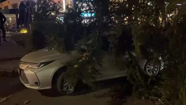 Kayseri'de şiddetli rüzgar ağacı otomobilin üzerine devirdi