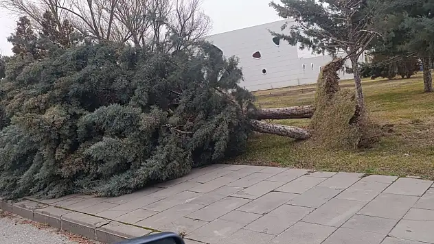 Kayseri'de şiddetli rüzgara karşı Büyükşehir ekipleri seferber oldu