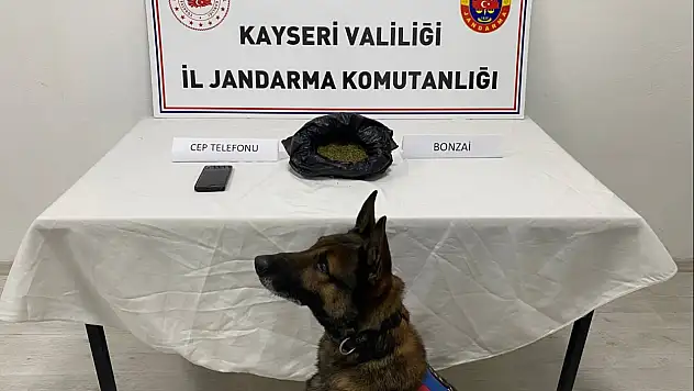 Kayseri'de uyuşturucu operasyonu