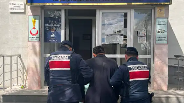 Kayseri'de Vahşet: Köpek Ağaca Asılarak Öldürüldü