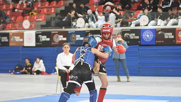 Kayseri de wushu turnuvası