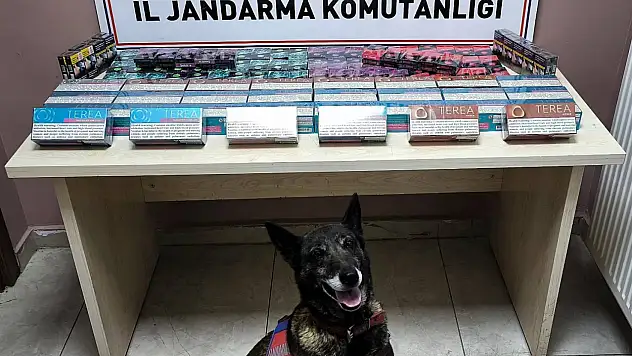 Kayseri Pınarbaşı'nda Kaçak Sigara Operasyonu