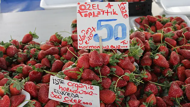 Semt Pazarı Fiyatları