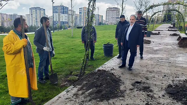 Kayseri Talas'ta Çiçek Şenliği Başlıyor