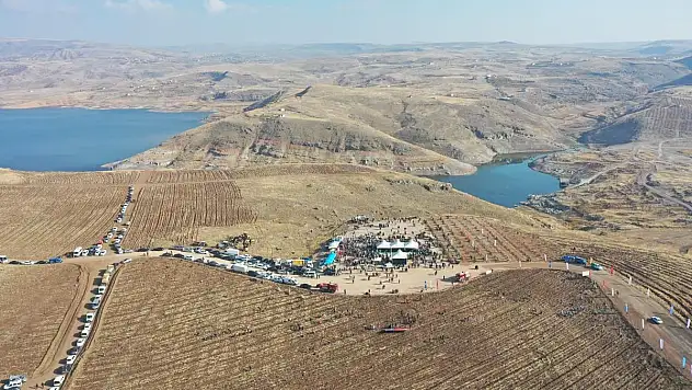 KAYSERİ'NİN DENİZİNDE, 3 YILDA 12 MİLYON AĞAÇ TOPRAKLA  BULUŞUCAK!