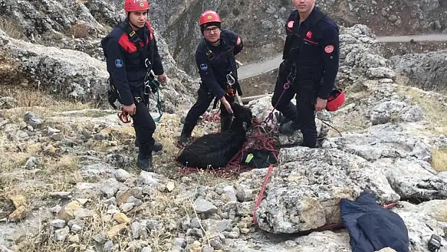 KEÇİ KURTARMA OPERASYONU