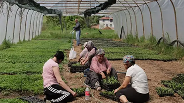 Kocaeli'den yüzde 75 hibeli tarım desteği