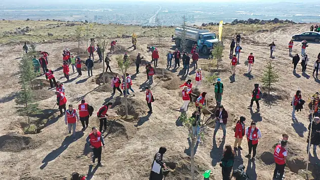 KOCASİNAN BELEDİYESİ, KIZILAY HAFTASI'NI AĞAÇLARLA  TAÇLANDIRDI