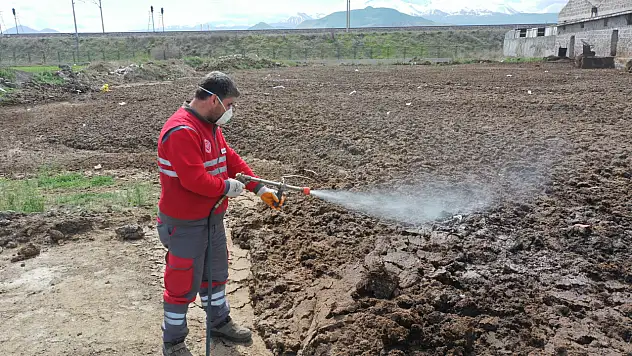 Kocasinan'da haşereye karşı yıl boyu mücadele