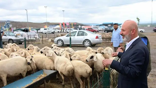 Kocasinan'da kurban hazırlığı başladı