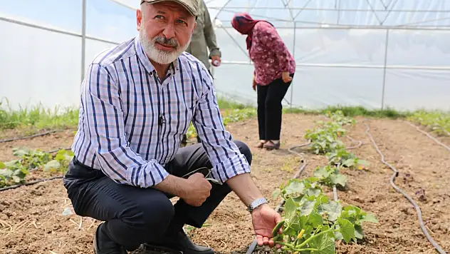 Kocasinan'da Şehir Merkezinde 60 Bin Fide Toprakla Buluştu
