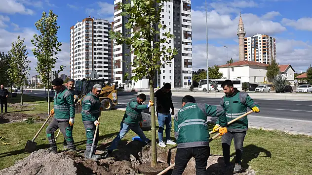 Kocasinan'da yeşil alan hamlesi