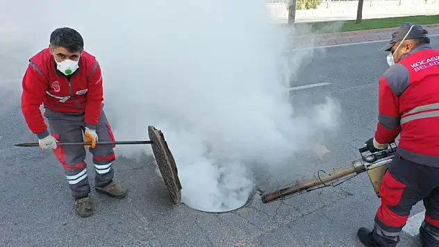 Kocasinan'dan huzurlu yaz için haşereyle mücadele