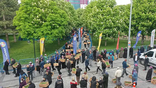 KOCASİNAN'IN DOMATES EFSANESİ, BÜYÜK YANKI UYANDIRDI