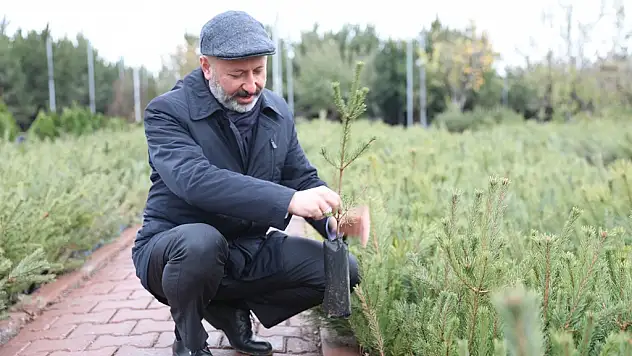 KOCASİNAN, YEŞİL HAMLE İLE GELECEĞE NEFES OLUYOR