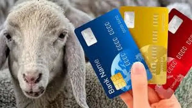 Kredi kartıyla kurbana faiz uyarısı