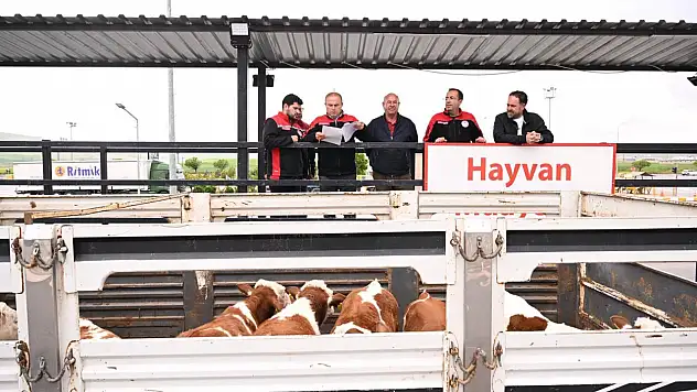 Kurban Bayramı öncesi denetimler Kayseri'de artırıldı